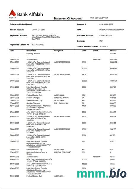 Pakistan Bank Al Habib wyciąg z konta Word i szablon PDF, 4 strony, 3-4 strony